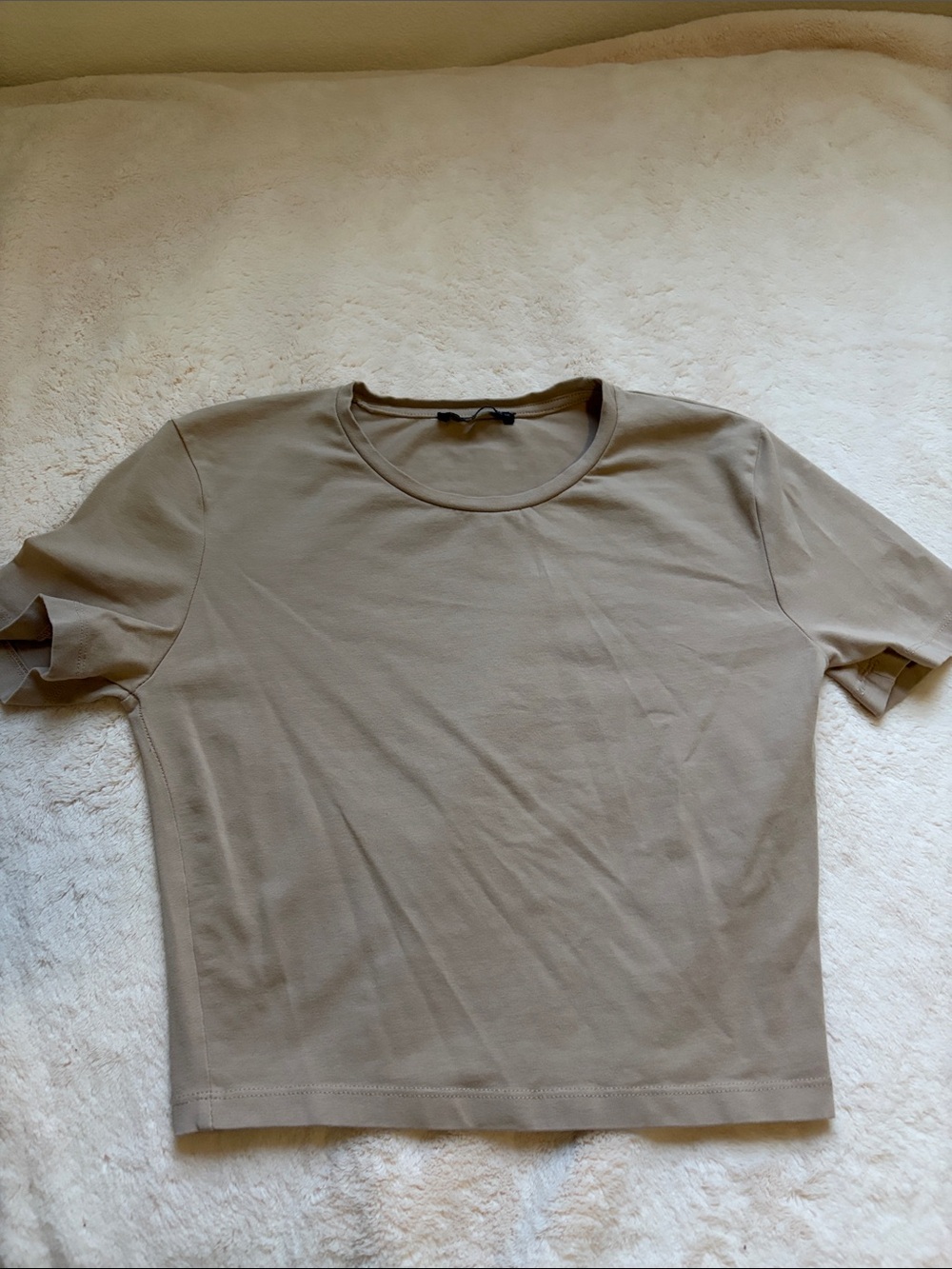 Zara Short Sleeve Crew Neck Tee in Taupe